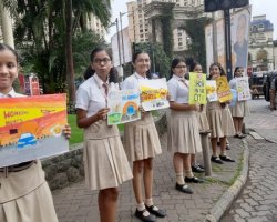 Std VIII students participated